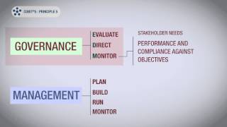 COBIT 5 Principle Five [upl. by Rhtaeh]