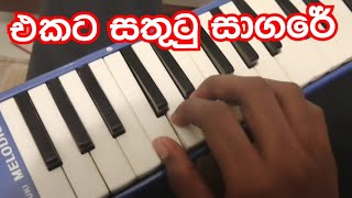 එකට සතුටු සාගරේ  ekata sathutu sagare MELODICA shorts [upl. by Eatnohs227]