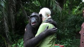 Jane Goodall Releases Chimp [upl. by Stelmach601]