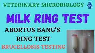 Milk Ring TestBrucellosis ABRT [upl. by Johansen880]