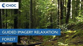 Guided Imagery Meditation Forest  CHOC [upl. by Elbys]