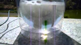 Photocatalytic Water Splitting [upl. by Enidan441]