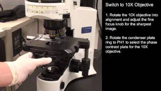 Intro to Fluorescence Microscopy [upl. by Analeh]