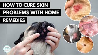 How To treat 5 Skin infection in dogs 🐕 with home remedies [upl. by Gerri802]