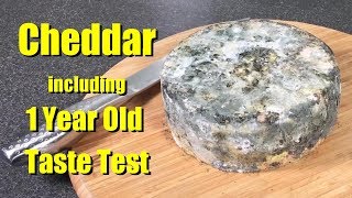 How to make Cheddar Cheese with all Updates and Taste Tests [upl. by Christianson329]