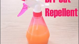 DIY CAT REPELLENT [upl. by Ecyrb]