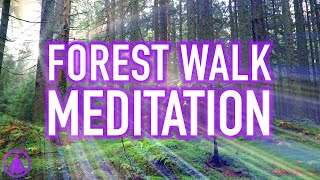 Guided Forest Walk Meditation  Calming and Relaxing Mindfulness Activity [upl. by Aretina711]