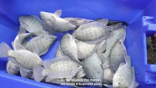 ASA Ethiopia  the first commercial and sustainable fish farm in Ethiopia [upl. by Ihpen]