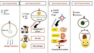 Hypersensitivity types in 4 minutes [upl. by Nayhr]