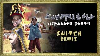 Santigold  Disparate Youth Switch Remix Official Audio [upl. by Hanschen]