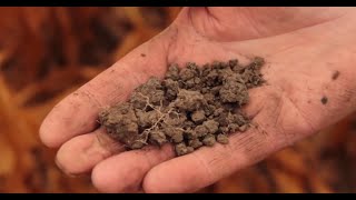 The Science of Soil Health Systems in Agroecology [upl. by Akihc]