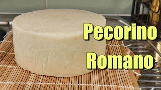 How to make Pecorino Romano at home using Raw Milk [upl. by Khajeh]