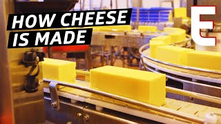 How Cheddar Cheese Is Made In a Factory — The Process [upl. by Nai]