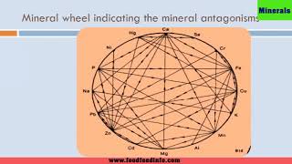 Lecture19Minerals in Animal NutritionLecture Series in Animal Sciences Animal Nutrition [upl. by Teyugn46]