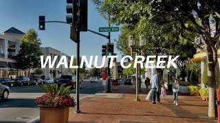 Neighborhood Tour of Walnut Creek CA [upl. by Anoyet]