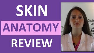 Anatomy amp Physiology Integumentary Skin System Overview [upl. by Elva]