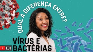 Qual a Diferença entre Vírus e Bactérias [upl. by Kcirddec]