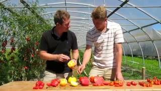 Tomates quelles variétés choisir [upl. by Aidnyl]