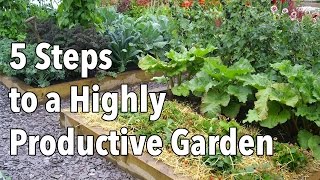 Vegetable Gardening How to Plan a Highly Productive Garden [upl. by Latimore]