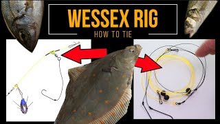 Sea Fishing Rig Guide  WESSEX RIG A two minute rig that works [upl. by Mccord]