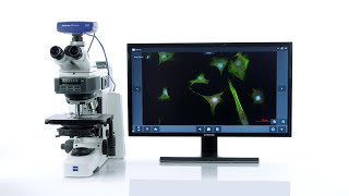 Howto Multichannel Fluorescence Imaging  ZEISS Labscope amp ZEISS Smart Microscopy [upl. by Ailis692]