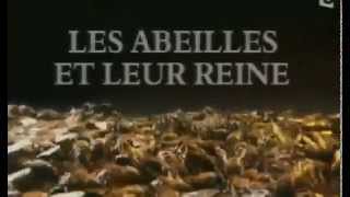 Documentaire Les abeilles et leur reine [upl. by Retsbew770]