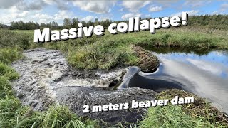 Epic 2meters Beaver Dam COLLAPSE [upl. by Beera]