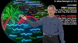 Microscopy Fluorescent Proteins Roger Tsien [upl. by Leandro]