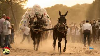 SEVILLANAS ROCIERAS COSITAS DEL ROCIÓ SEVILLANAS CAMINOS POR LA RAYA MEJORES OLEE  Video Oficial [upl. by Koblick]