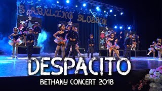 couple dance Despacito  Bethany concert 2018 [upl. by Andria]