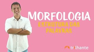 Morfologia Estrutura das Palavras [upl. by Meunier]