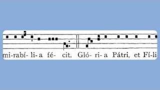 Puer Natus Est Nobis Christmas Day Introit [upl. by Graeme]