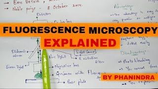 fluorescence microscopy  Mechanism  Advantages and disadvantages [upl. by Marella]