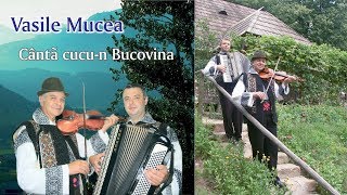 Vasile Mucea – Canta cucun Bucovina ALBUM [upl. by Chrisoula927]