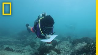 Saving Ocean Biodiversity Coral Restoration  Explorers in the Field [upl. by Igor255]