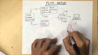 Fluorescence Lifetime Imaging Microscopy FLIM  Overview [upl. by Laure628]