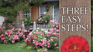 How to Create a Cottage Garden [upl. by Katrina]