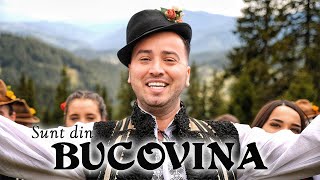 Alexandru Bradatan  Sunt din Bucovina [upl. by Katonah132]