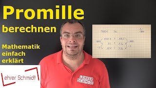 Promille berechnen  Mathematik  einfach erklärt  Lehrerschmidt [upl. by Ehttam]