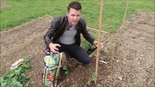 Comment planter des tomates [upl. by Etteluap]