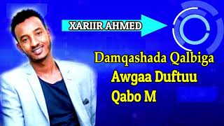 XARIIR AXMED HEESTII  DAREEN JECEYL OFFICAL LYRICS 2019 [upl. by Friedly75]