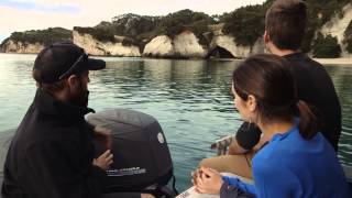 These grand rocks remember our stories – The Coromandel New Zealand [upl. by Glori604]