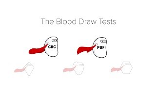 Blood Cell Counters  Hematology analyzer  Biomedical Engineers TV [upl. by Bausch]