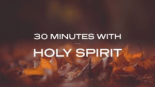 30 Minutes With Holy Spirit Deep Prayer amp Prophetic Worship Music [upl. by Gui]