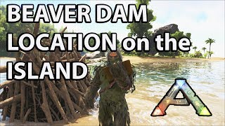 Beaver Dam locations on the Island Map Ark Survival Evolved Castoroides [upl. by Hiamerej]