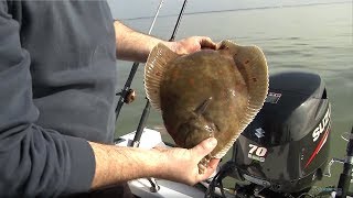 Fishing for Flatfish  Rigs Tips amp Tactics  CATCH MORE FISH [upl. by Aseena357]