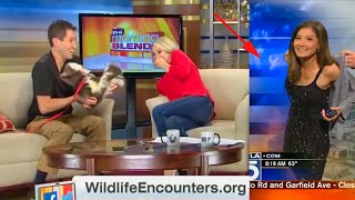 Funniest TV News Bloopers of 2021 [upl. by Stahl863]