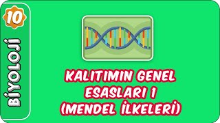 Kalıtımın Genel Esasları 1 Mendel İlkeleri  10 Sınıf Biyoloji [upl. by Noell]