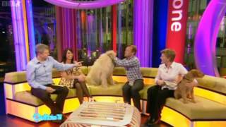 BBC Bloopers  Outtake TV  9042010 [upl. by Elleyoj]